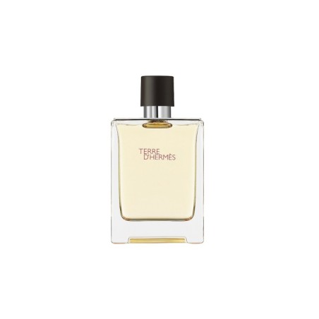 Hermes Terre D'hermes Eau De Toilette Vaporisateur 100ml