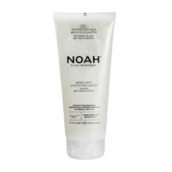 Noah Style Gel Texturizante...