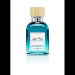 Adolfo Dominguez A...