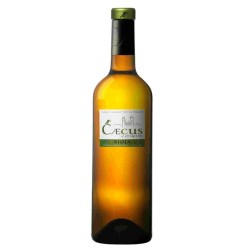 Vino Blanco Caecus Verderón