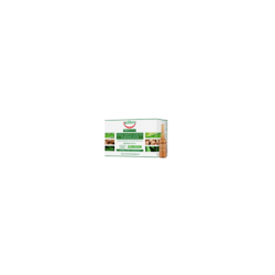 Equilibra Hairloss Strengthening 10x 8ml