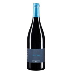 Vino Tinto El Músico Prieto Picudo