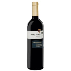 Vino Tinto Pinna Fidelis...