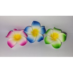 5 Fleurs frangipanier verte...