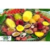 colis fruits reunion