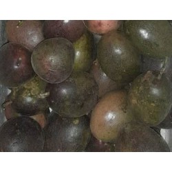 fruits de la passion Réunion