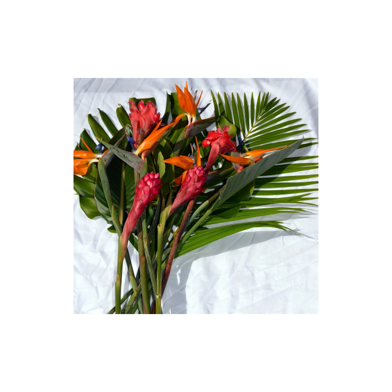 Colis fleurs exotiques Réunion Mascareignes 9 fleurs