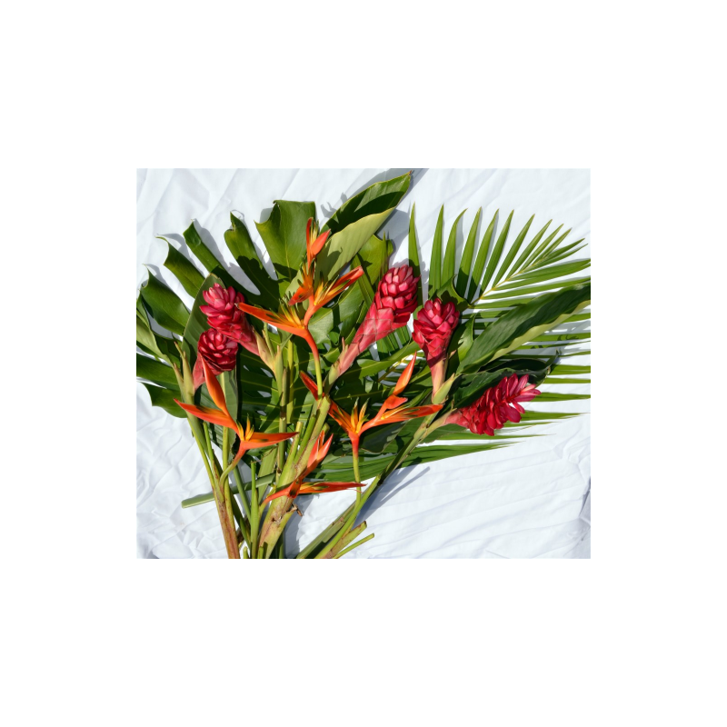 Colis fleurs Réunion Alpinias et Héliconias, 9 fleurs - Frais de livraison inclus