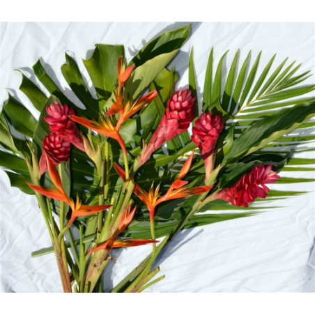 Colis fleurs Réunion Alpinias et Héliconias, 9 fleurs - Frais de livraison inclus