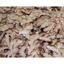 Gingembre frais 0.5 KG