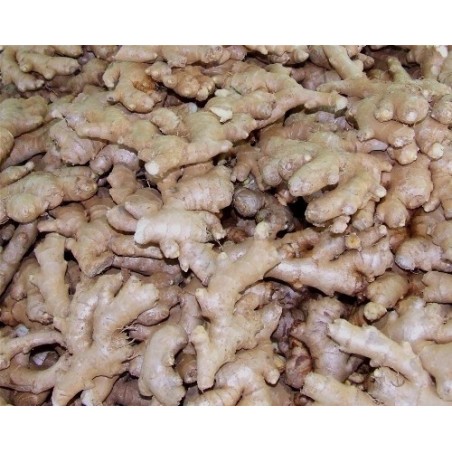 Gingembre frais 0.5 KG