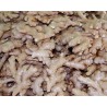 Gingembre frais 0.5 KG