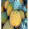 Colis Fruits Passion et Ananas 5 kg (livraison inclus)